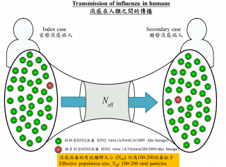 The research team estimates the effective population size of influenza A virus across donor/recipient pairs to be approximately 100-200 viral particles.